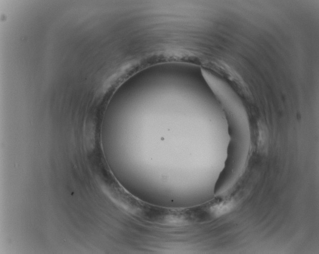 X0000063520496200601271839