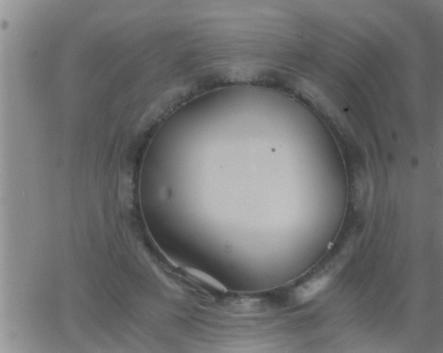 X0000063520497200601271839