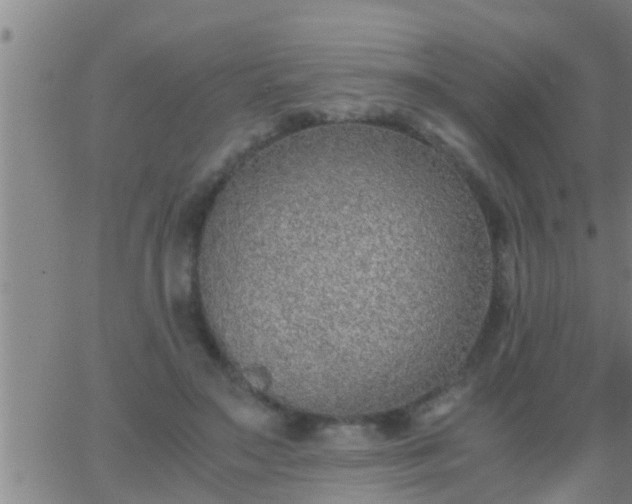 X0000063520499200601271839