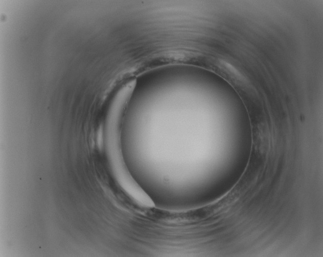 X0000063520500200601271839