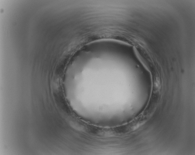 X0000063520503200601271839