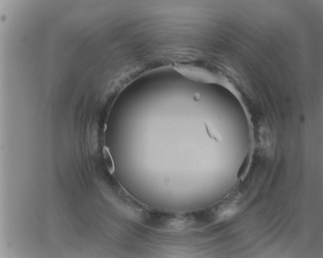 X0000063520504200601271839