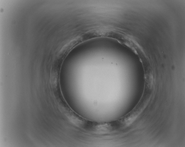 X0000063520505200601271839