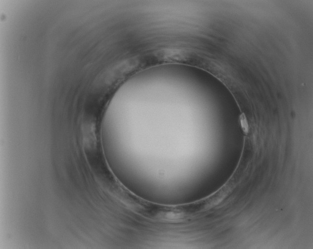 X0000063520506200601271839