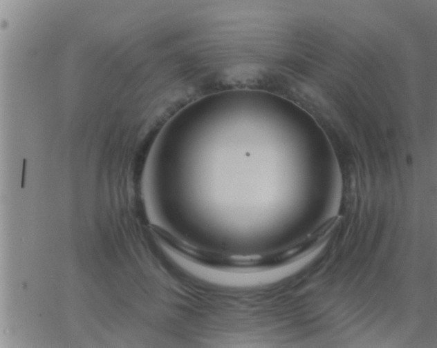 X0000063520508200601271839