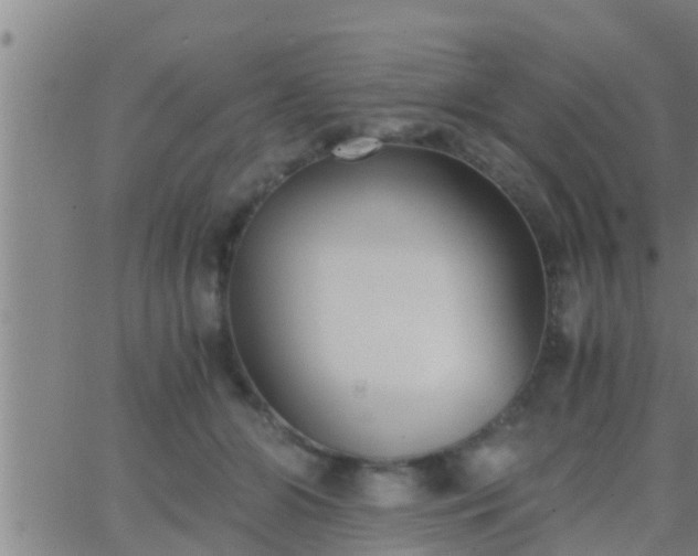 X0000063520510200601271839