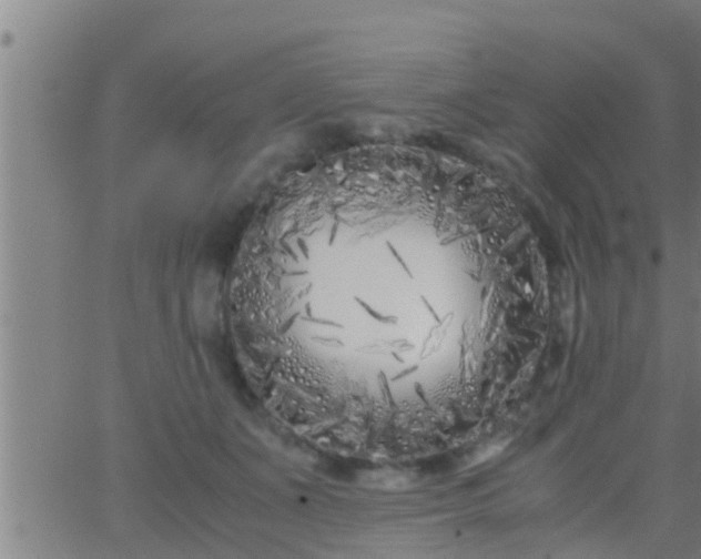 X0000063520511200601271839