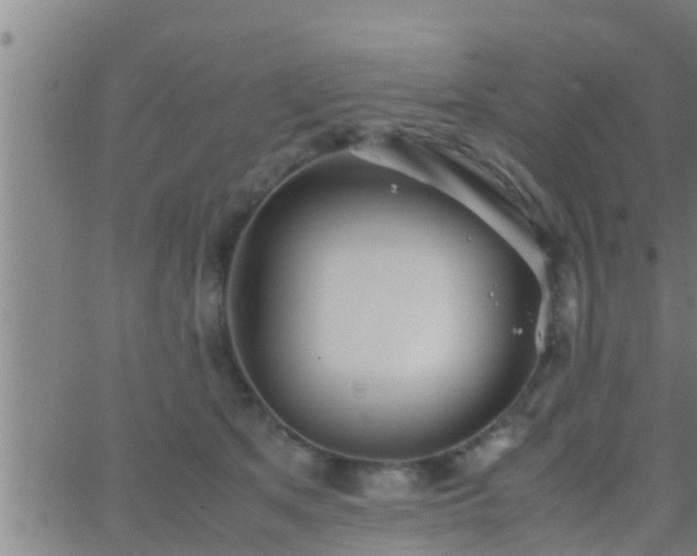 X0000063520513200601271839