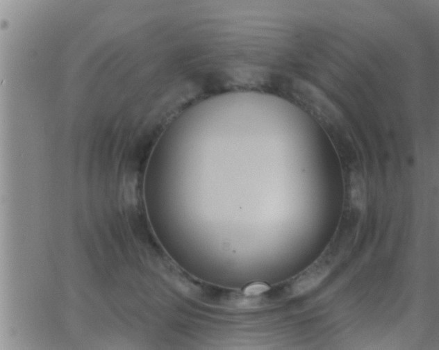 X0000063520514200601271839