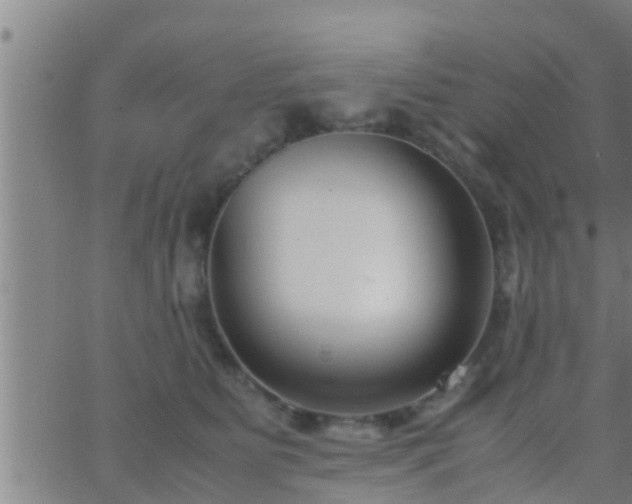 X0000063520515200601271839