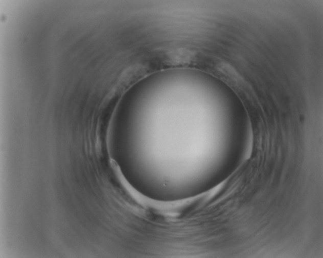 X0000063520516200601271839