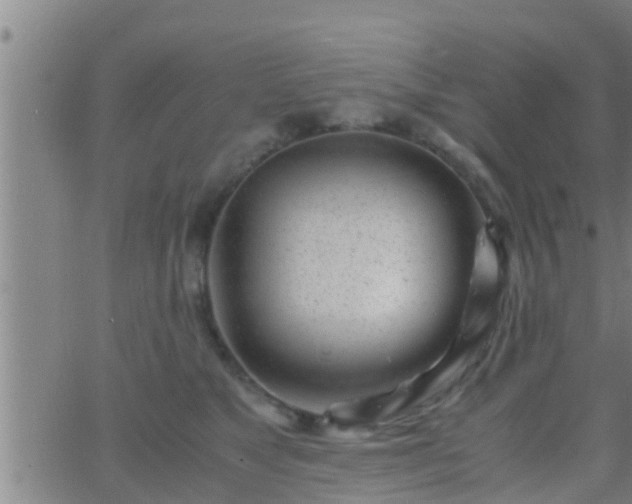 X0000063520517200601271839