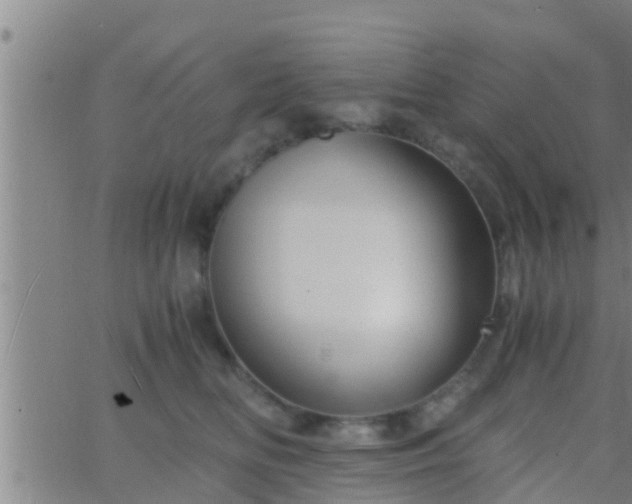 X0000063520518200601271839