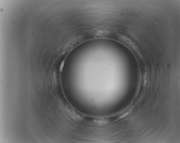 X0000063520520200601271839