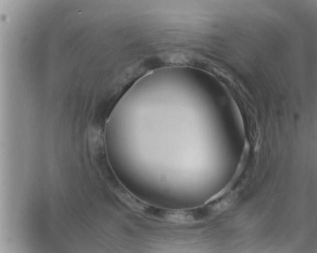 X0000063520521200601271839