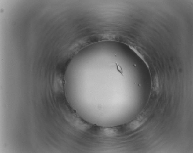 X0000063520522200601271839