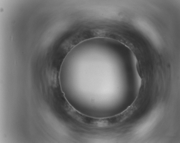 X0000063520525200601271839