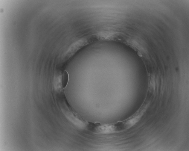 X0000063520526200601271839