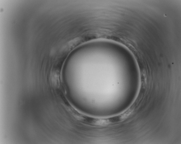 X0000063520527200601271839