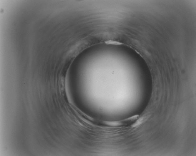 X0000063520528200601271839