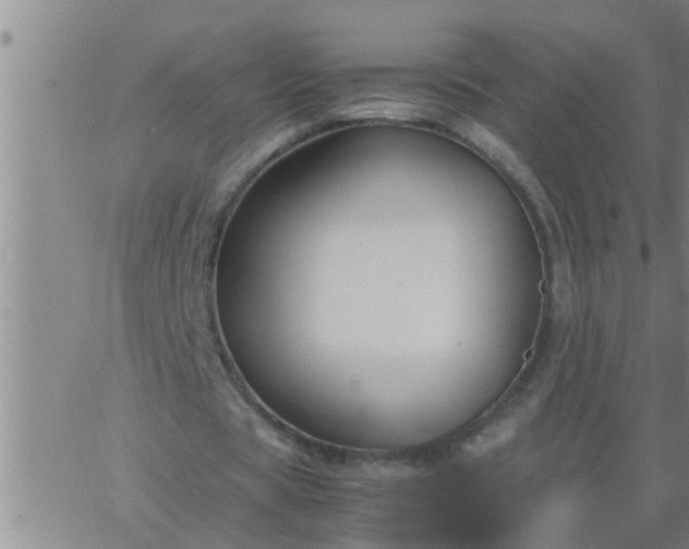 X0000063520529200601271838