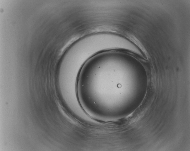 X0000063520530200601271838