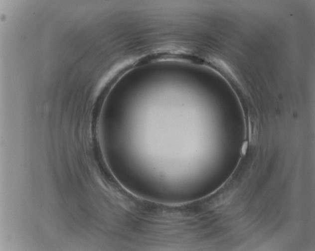 X0000063520531200601271838