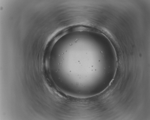 X0000063520532200601271838