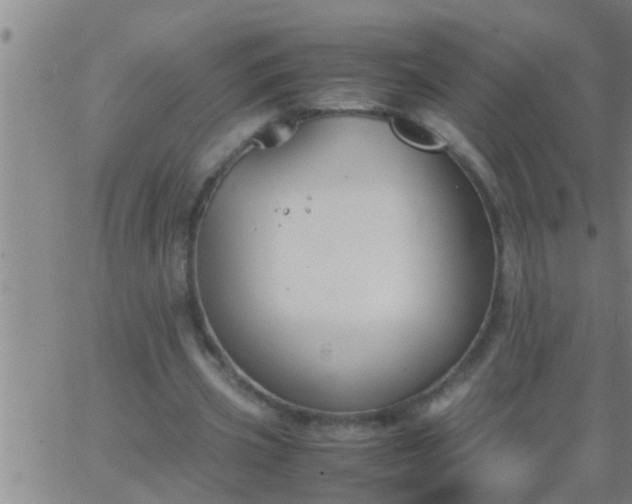 X0000063520533200601271838