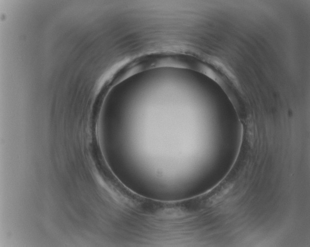 X0000063520536200601271838