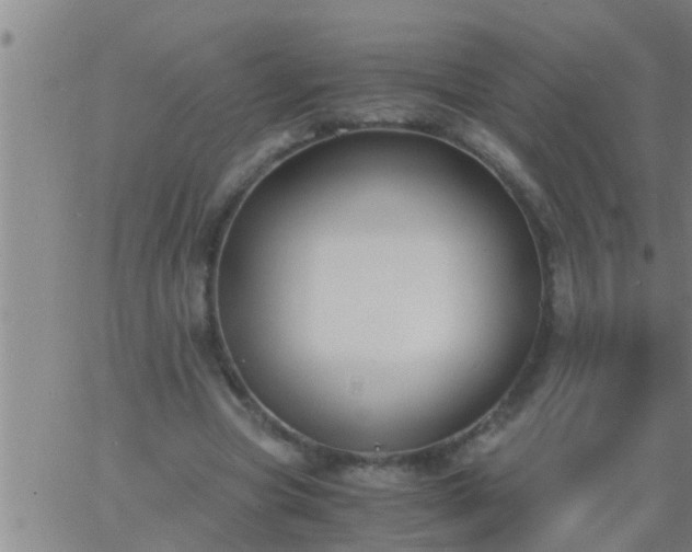 X0000063520537200601271838