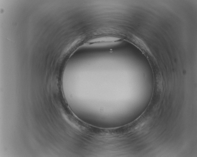 X0000063520538200601271838