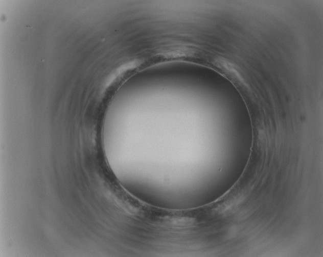 X0000063520539200601271838