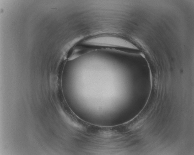 X0000063520540200601271838