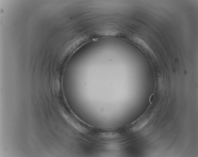 X0000063520541200601271838