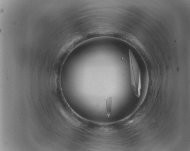 X0000063520542200601271838