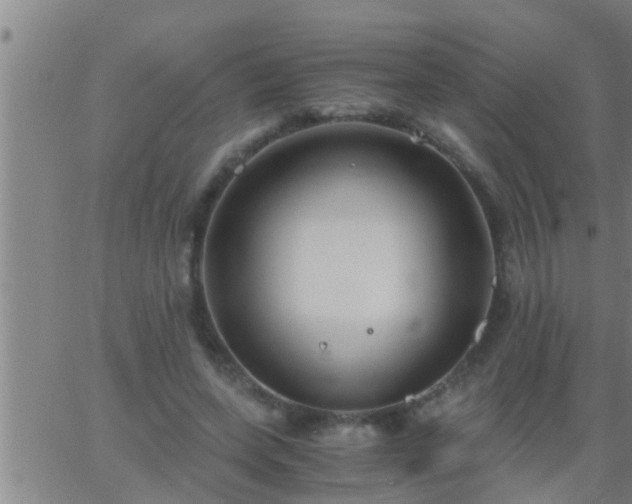 X0000063520543200601271838