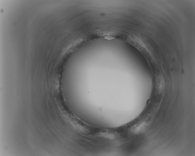 X0000063520545200601271838