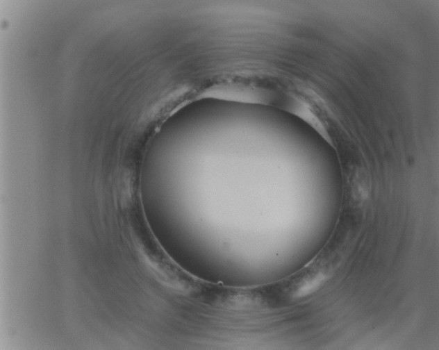 X0000063520546200601271838