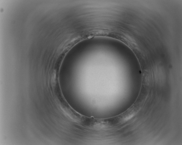 X0000063520550200601271838