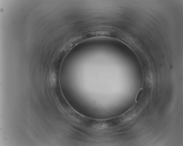 X0000063520551200601271838