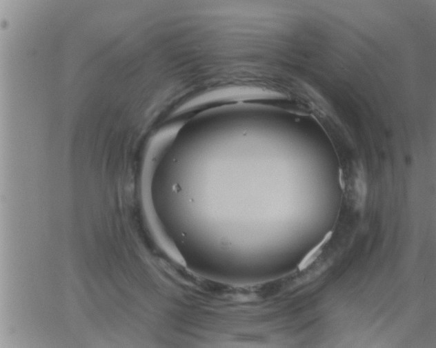 X0000063520552200601271838