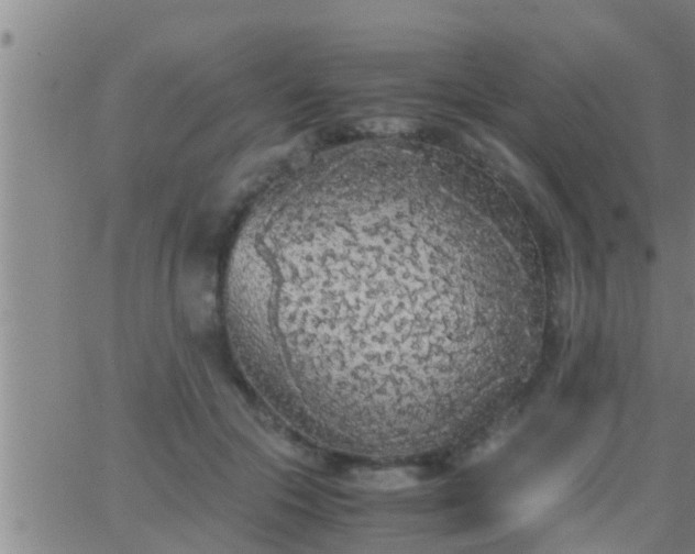 X0000063520553200601271838