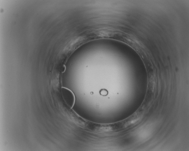 X0000063520554200601271838