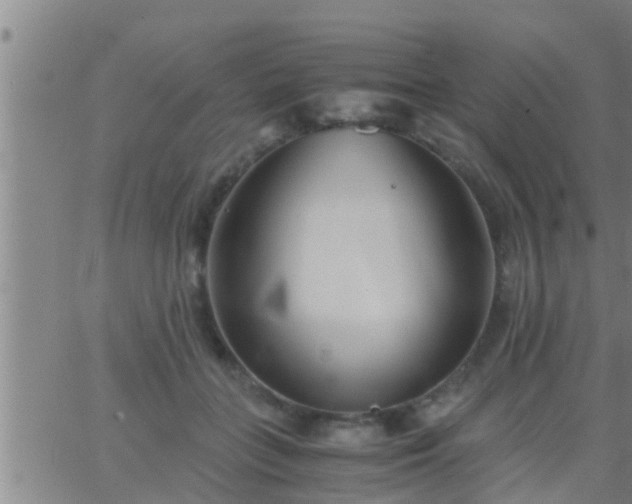 X0000063520555200601271838