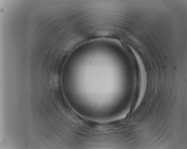 X0000063520556200601271838