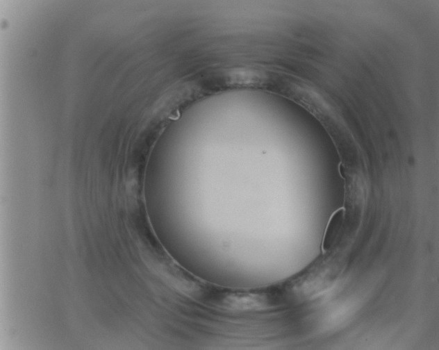 X0000063520557200601271838