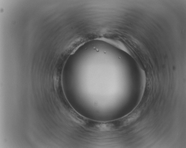 X0000063520558200601271838