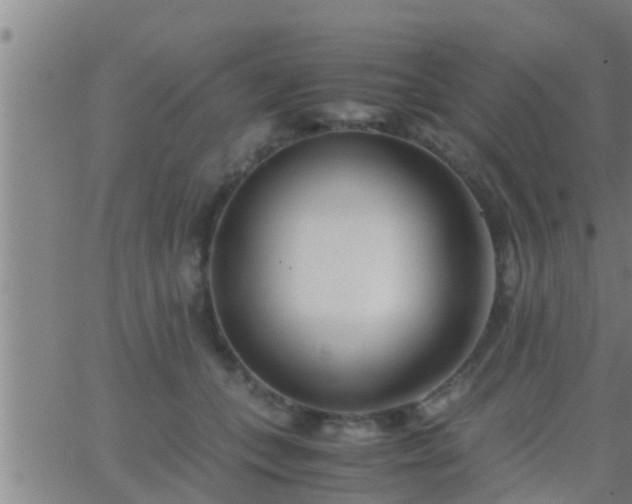 X0000063520559200601271838