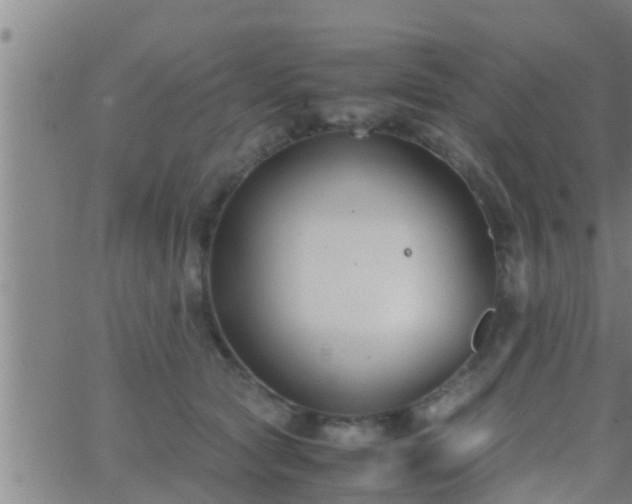 X0000063520561200601271839